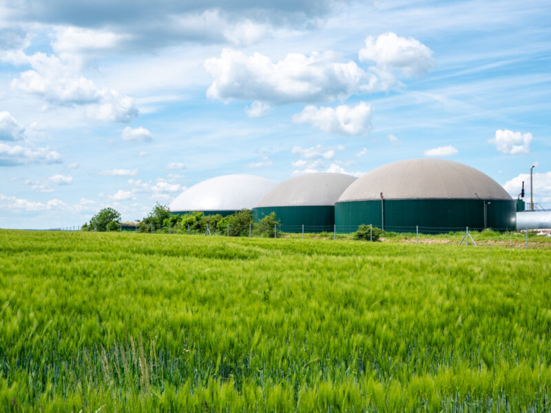 Biogas,Production,,Biogas,Plant,,Bio,Power