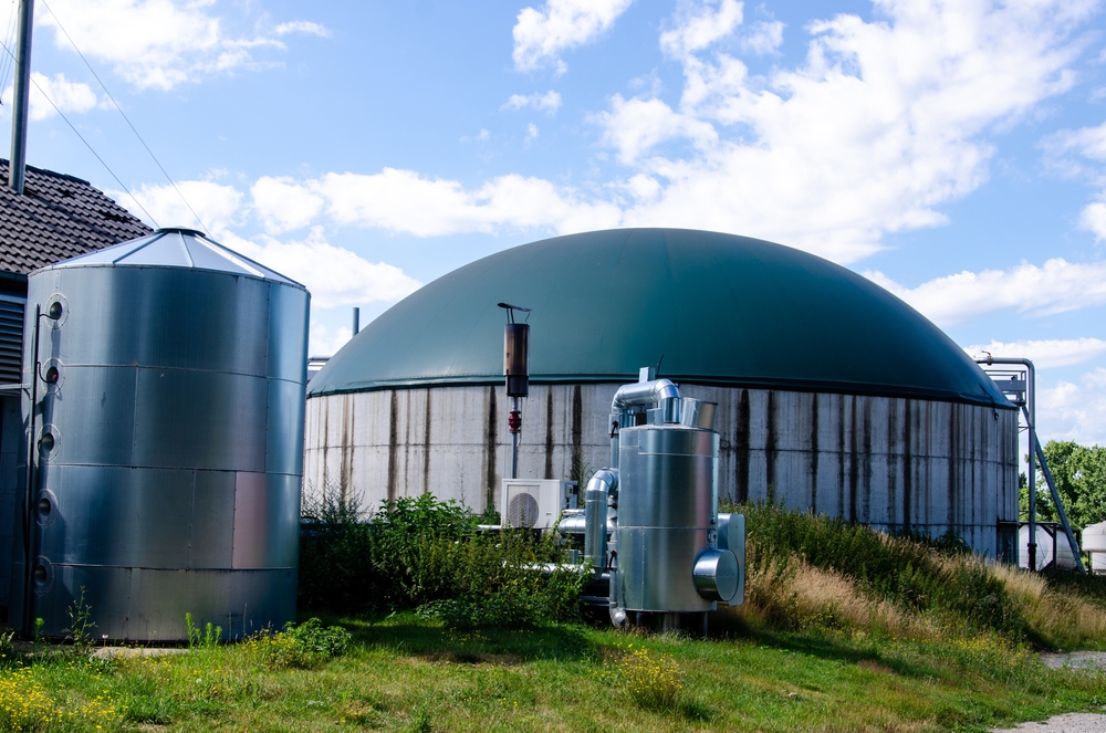 anaerobic digestion