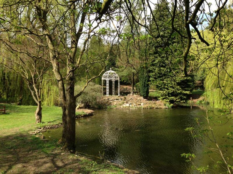 View-over-lake